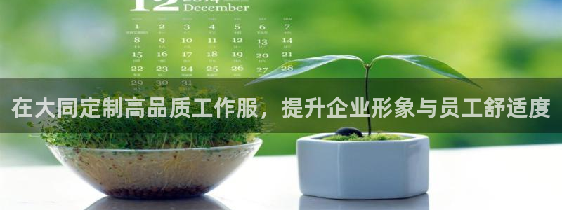 龙八国际手机版官网平台
