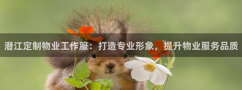 龙8官方app下载