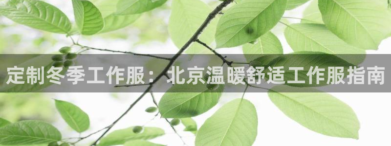 龙8long8手机登录|定制冬季工作服:北京温暖舒适工作服指南